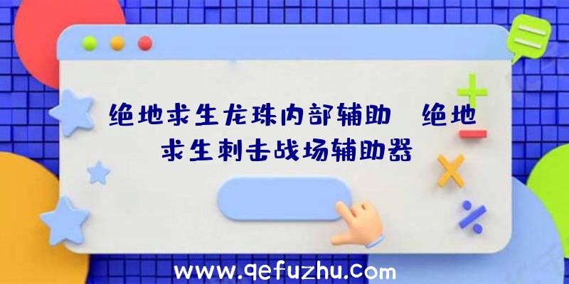 「绝地求生龙珠内部辅助」|绝地求生刺击战场辅助器